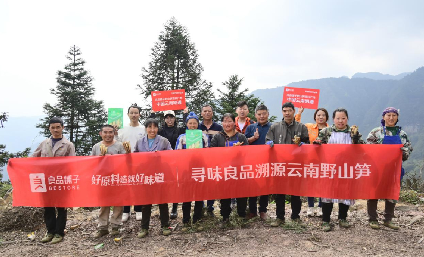 好原料造就好味道，良品鋪?zhàn)右吧焦S來(lái)自云南深山“筍中之冠”
