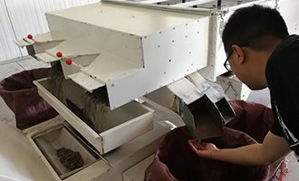 The Story of a Xinjiang Melon Seed in Henan! Tracing back along BESTORE's Supply Chain to Find Out How Special the Prime Melon Seeds Are！
